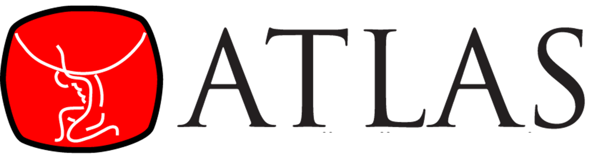 Atlas Sayaç